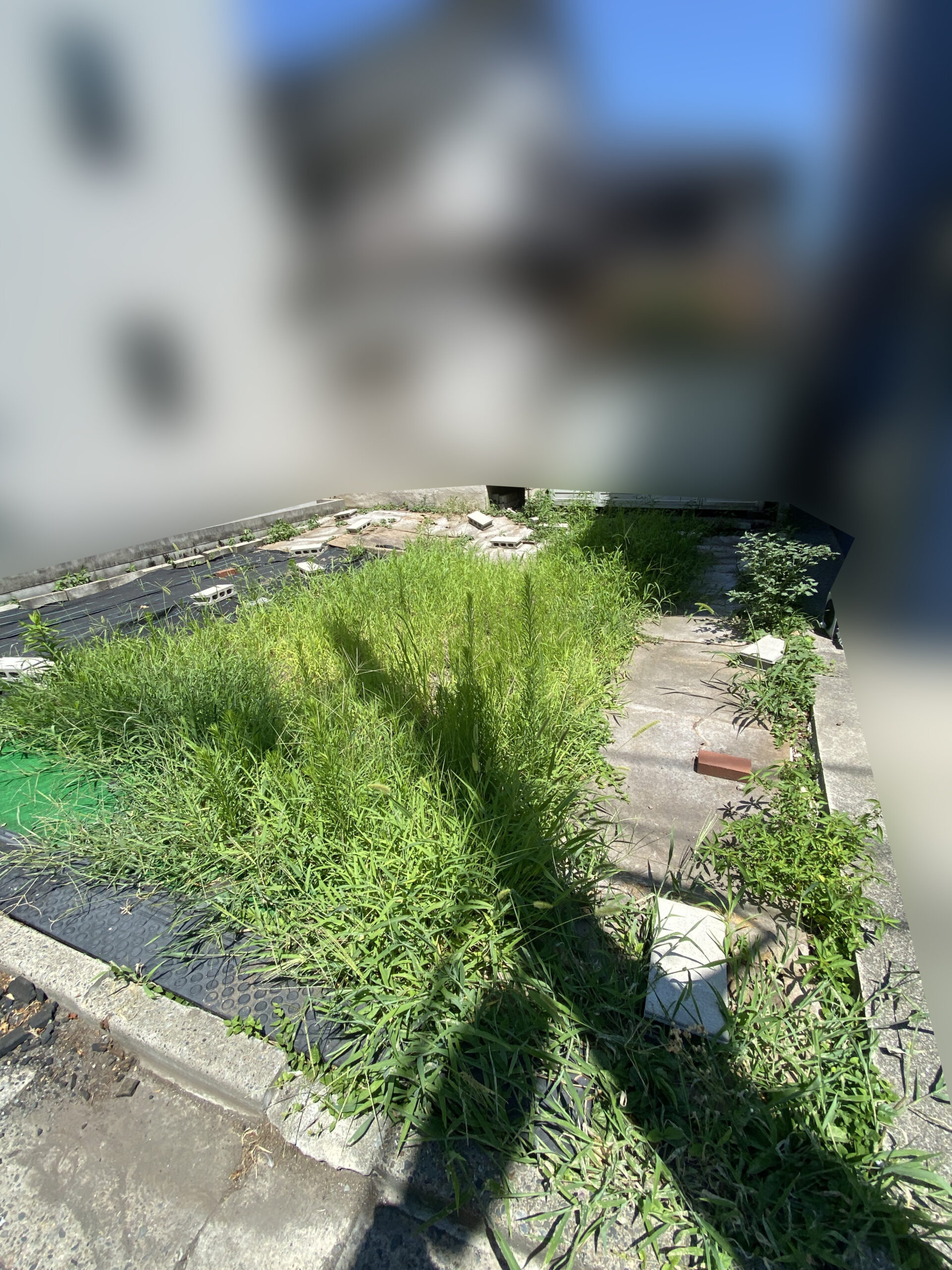 【江東区】遠方のオーナー様も安心！空き地の草刈り＆防草シートのメンテナンス