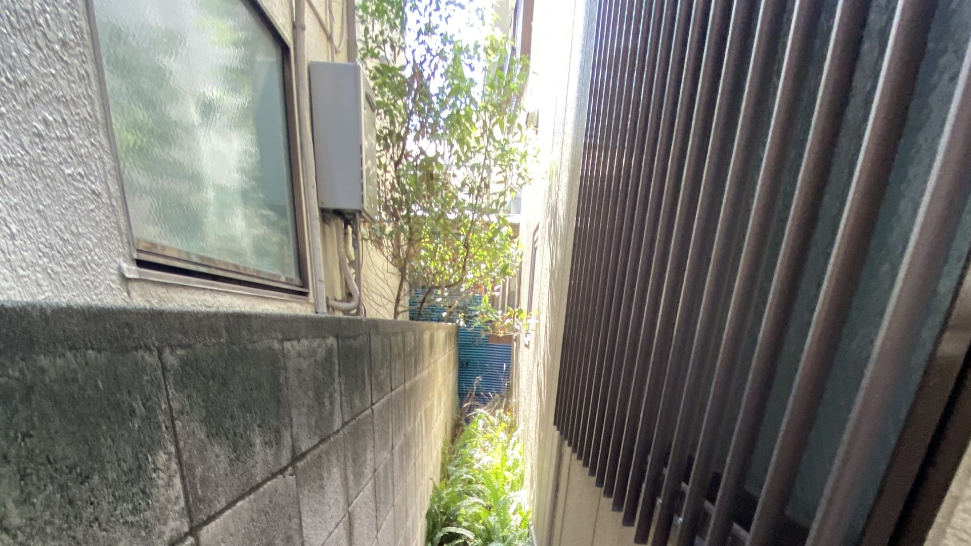 江東区で草むしり・剪定なら便利屋ちょこっと！お庭や裏路地をスッキリ解決