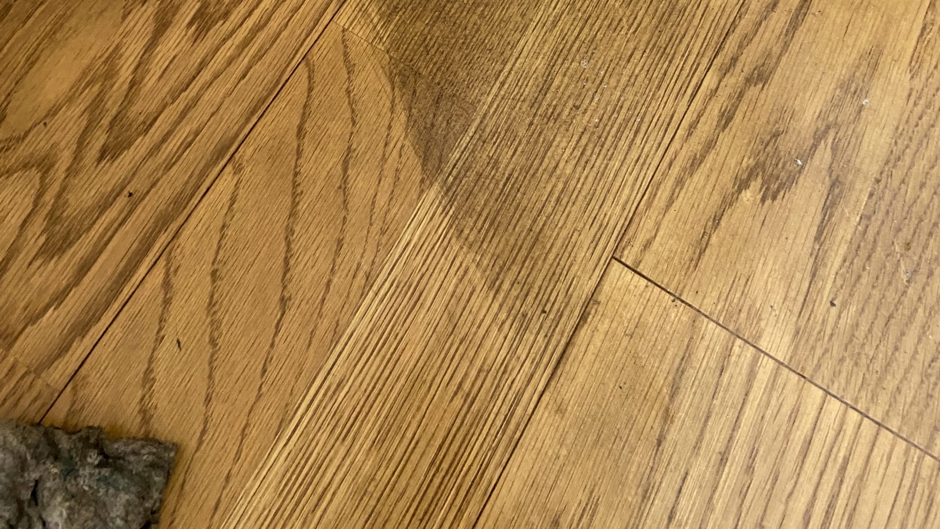 フローリングの角に溜まった頑固な汚れ